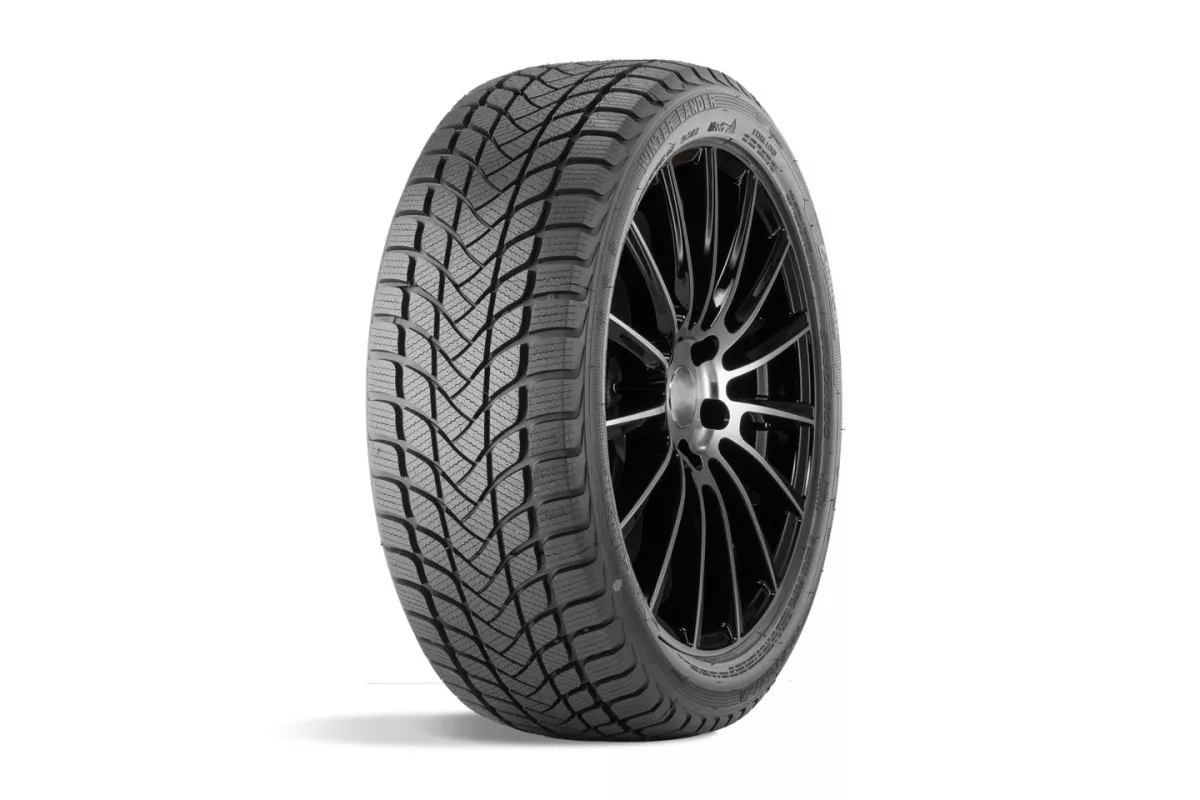 Landsail WINTER LANDER 225/45R18 95H